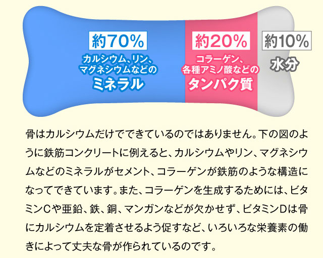 骨はカルシウムだけでできているのではありません。下の図のように鉄筋コンクリートに例えると、カルシウムやリン、マグネシウムなどのミネラルがセメント、コラーゲンが鉄筋のような構造になってできています。また、コラーゲンを生成するためには、ビタミンCや亜鉛、鉄、銅、マンガンなどが欠かせず、ビタミンDは骨にカルシウムを定着させるよう促すなど、いろいろな栄養素の働きによって丈夫な骨が作られているのです。