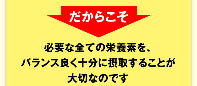 だからこそ 必要な全ての栄養素を、バランス良く十分に摂取することが大切なのです