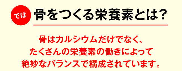 では骨をつくる栄養素とは? 骨はカルシウムだけでなく、たくさんの栄養素の働きによって絶妙なバランスで構成されています。