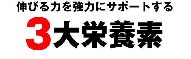 伸びる力を強力にサポートする3大栄養素