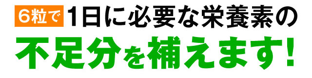 6粒で1日に必要な栄養素の不足分を補えます!